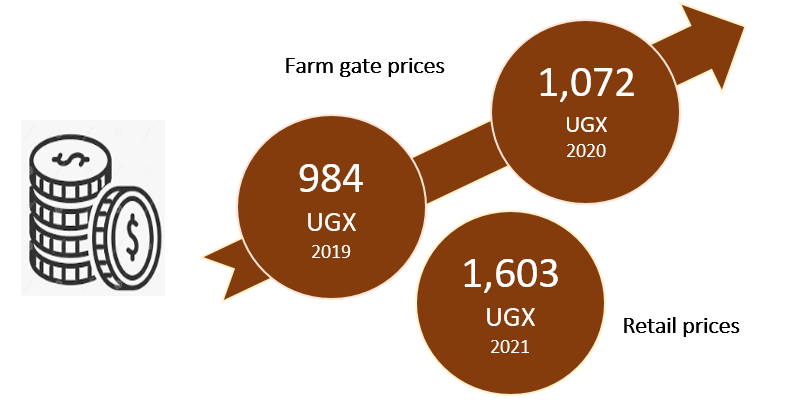 Dairy Industry in Uganda 2023